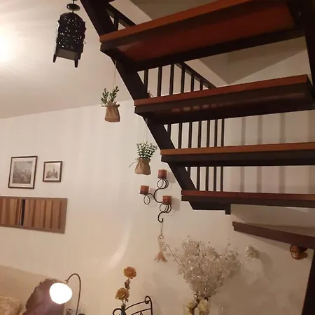 Efd Varzea Park Bed & Breakfast *